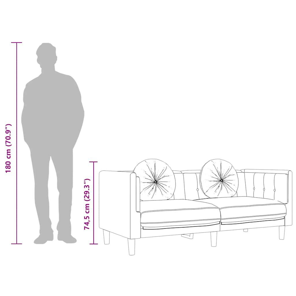 Canapea cu perne, 2 locuri, gri deschis, catifea