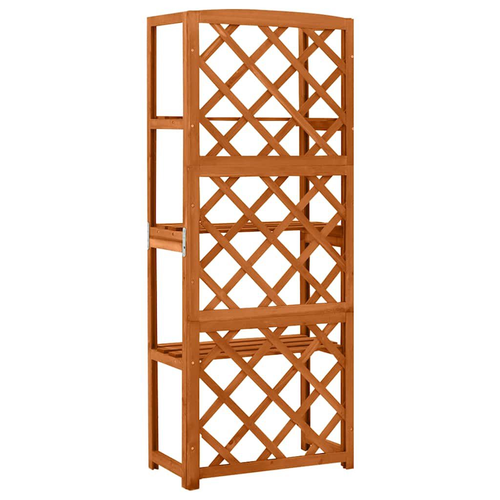 Spalier cu rafturi, 55x30x140 cm, lemn masiv brad