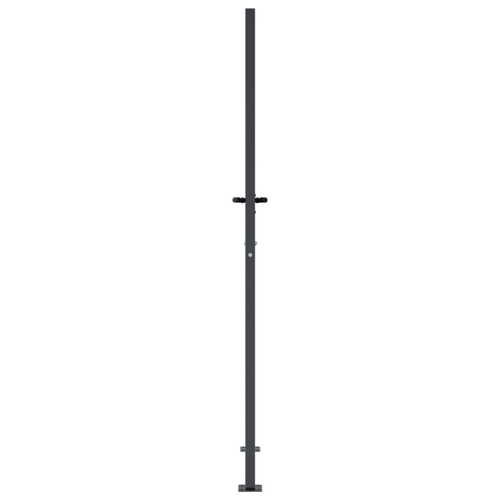 Poartă pentru grădină, antracit, 105x205 cm, oțel, model iarbă