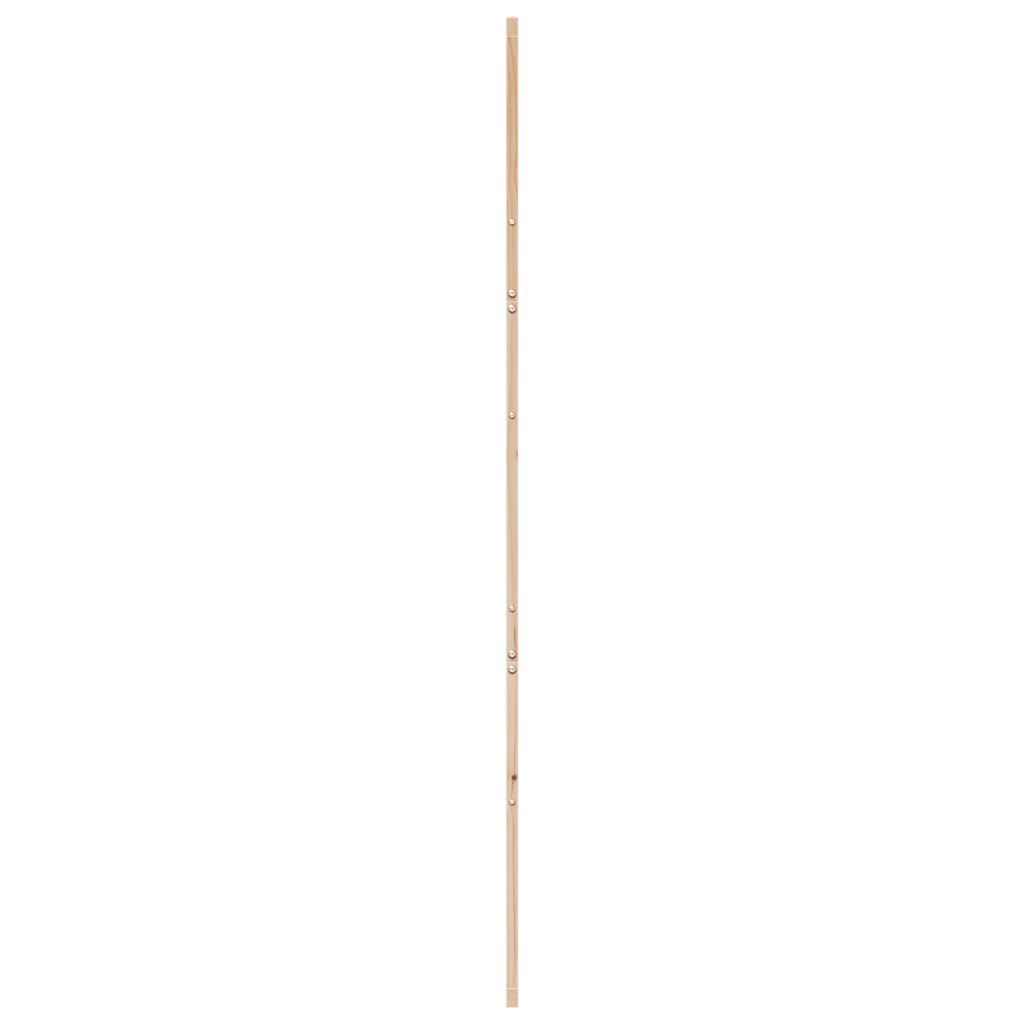 Ușă de hambar, 100x208 cm, lemn masiv de pin
